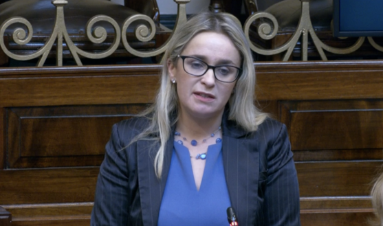 Opposition Stages Dáil Walkout Over Regional Independent Speaking Slot