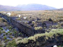 ECJ to summon Ireland over protection of bogs